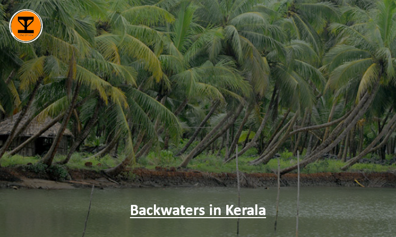 01 Backwaters Kerala