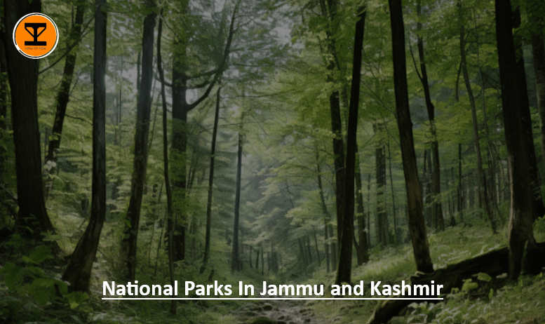 01 National Jammu