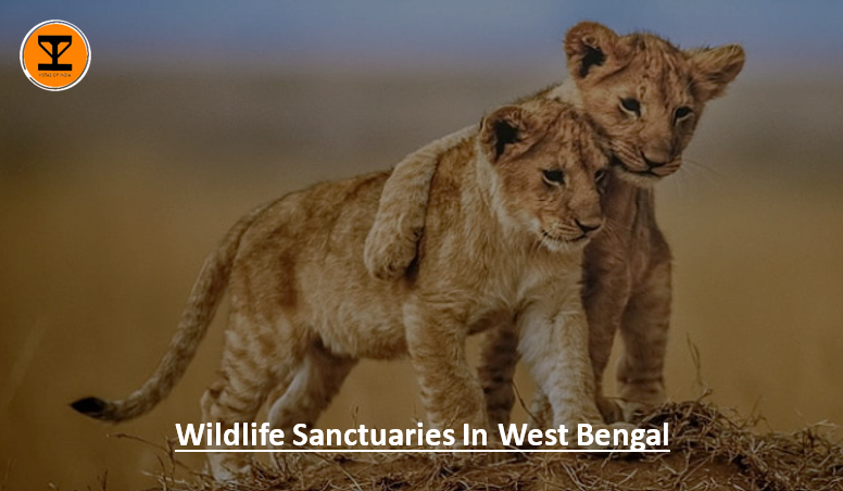 01 Wildlife Bengal