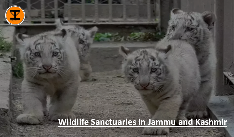 01 Wildlife Jammu
