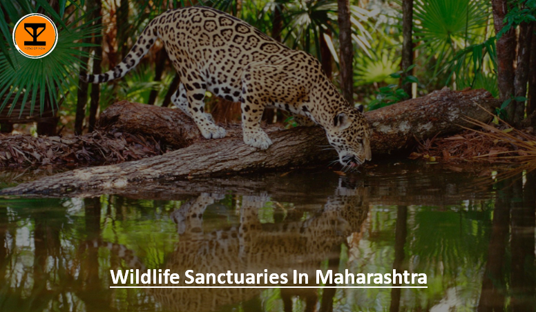 01 Wildlife Maharashtra