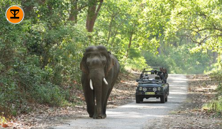 1 Nandhaur Wildlife Sanctuary