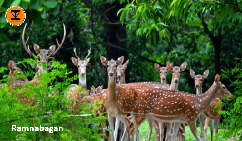 1 Ramnabagan Wildlife Sanctuary