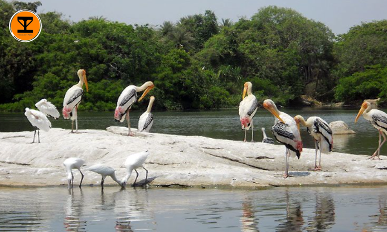 1 Samaspur Bird Sanctuary
