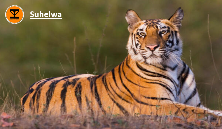 1 Suhelwa Wildlife Sanctuary