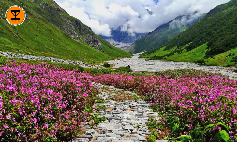 1 Valley Of Flowers