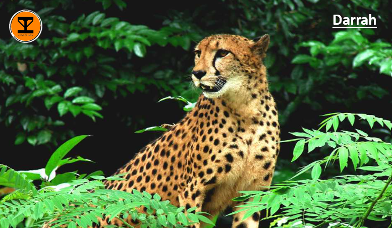 10 Darrah Wildlife Sanctuary