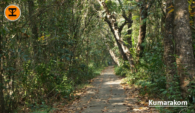 11 Kumarakom Bird Sanctuary