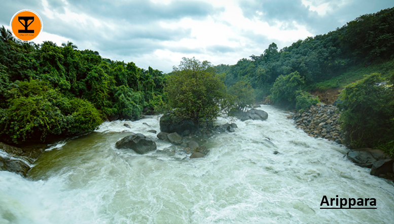 12 Arippara Waterfalls