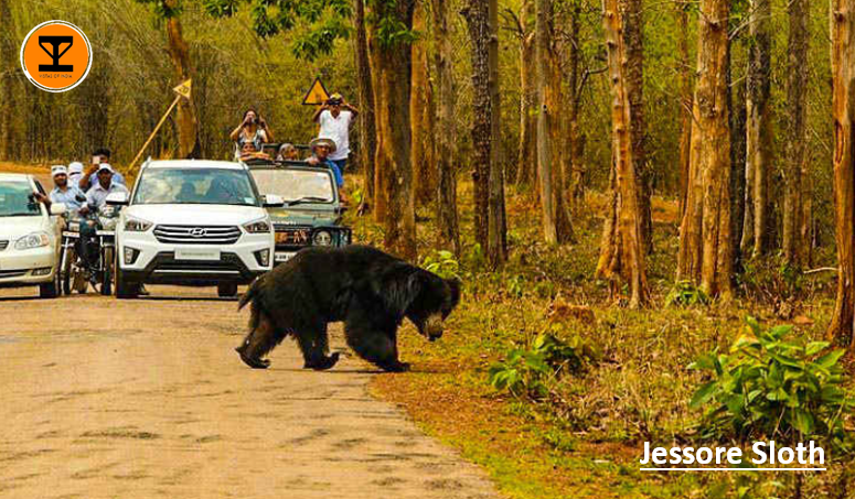 12 Jessore Sloth Bear Sanctuary