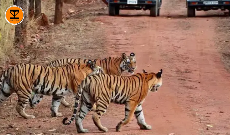 12 Ranipur Wildlife Sanctuary