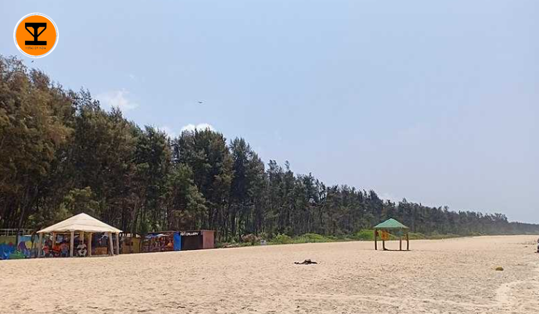 12 Tannirbhavi Beach