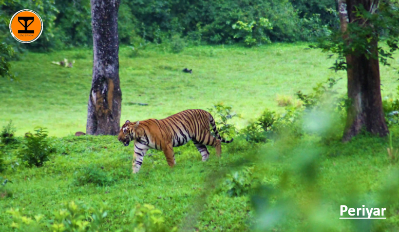 16 Periyar Tiger Reserve