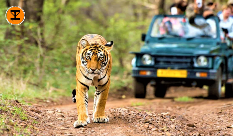 5 Kumbhalgarh Wildlife Sanctuary