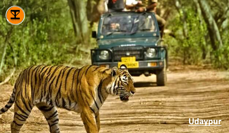 5 Udaypur Wildlife Sanctuary
