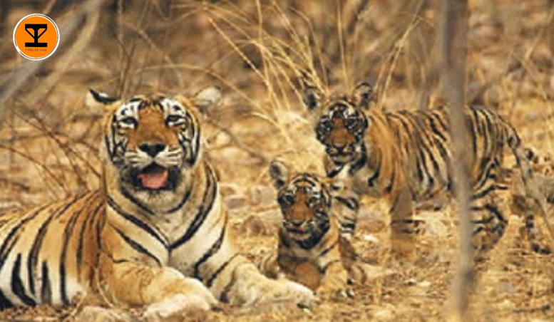 6 Bhimbandh Wildlife Sanctuary
