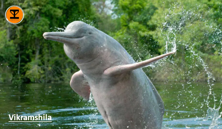 7 Gangetic Dolphin Sanctuary