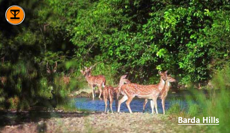 8 Barda Hills Wildlife Sanctuary