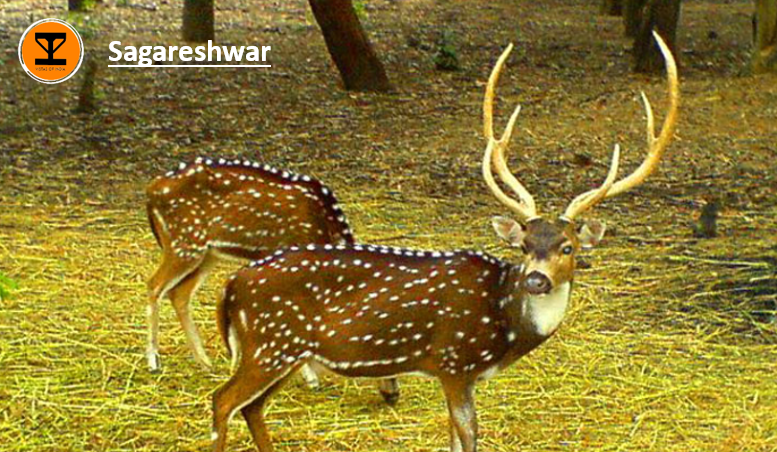 8 Sagareshwar Wildlife Sanctuary