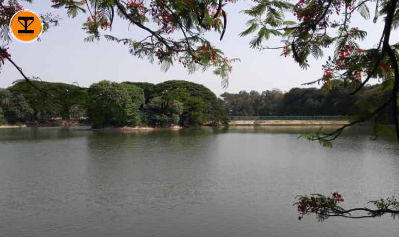 9 Botanical garden Lake