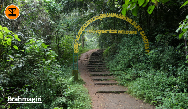 9 Brahmagiri Wildlife Sanctuary