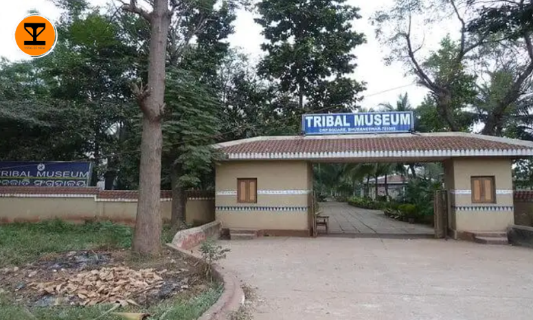 9 Museum of Tribal Arts